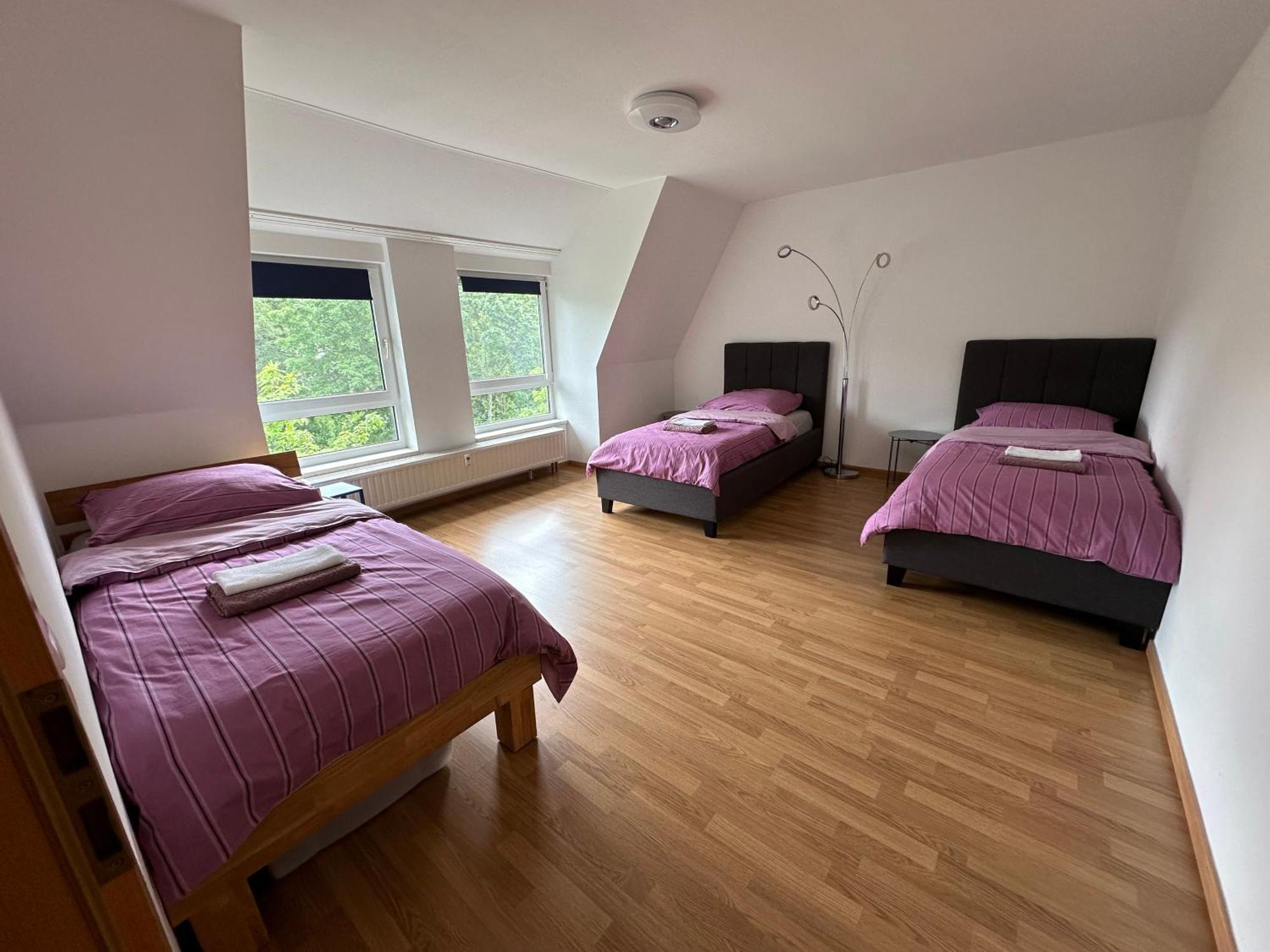 Grosses Im Dg Apartment Leipzig